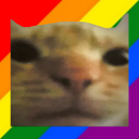 Cat Bot's avatar