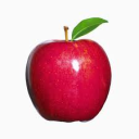 ꧁═══🍎 ᴀᴘᴜʟ 🍎═══꧂'s avatar